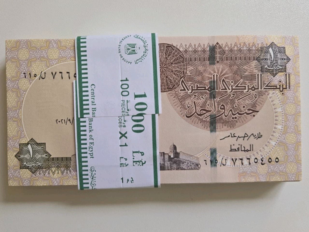 Egypt 1 Pound, 2019-2022, UNC X 100 Sequential Bundle Pack